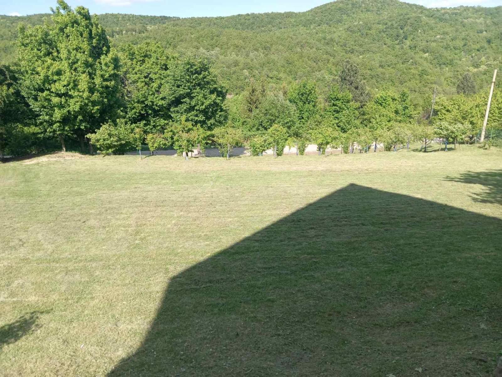 Vila Tea Borsko Jezero Villa Dış mekan fotoğraf